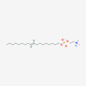 molecular formula C23H48NO4P B125653 Elaidylphosphocholine CAS No. 137052-40-5