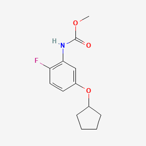 molecular formula C13H16FNO3 B12565660 Methyl [5-(cyclopentyloxy)-2-fluorophenyl]carbamate CAS No. 143661-69-2