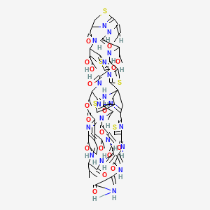 molecular formula C71H81N19O18S5 B1256763 N-[3-[(3-amino-3-oxoprop-1-en-2-yl)amino]-3-oxoprop-1-en-2-yl]-2-[(11Z,15S,35R,46S,53S,59S)-18-[(2S,3R)-2,3-dihydroxybutan-2-yl]-11-ethylidene-59-hydroxy-8-(1-hydroxyethyl)-31-[(1R)-1-hydroxyethyl]-26,46-dimethyl-40,43-dimethylidene-6,9,16,23,28,38,41,44,47-nonaoxo-37-propan-2-yl-27-oxa-3,13,20,56-tetrathia-7,10,17,24,36,39,42,45,48,52,58,61,62,63,64-pentadecazanonacyclo[23.23.9.329,35.12,5.112,15.119,22.154,57.01,53.032,60]tetrahexaconta-2(64),4,12(63),19(62),21,29(61),30,32(60),33,51,54,57-dodecaen-51-yl]-1,3-thiazole-4-carboxamide 