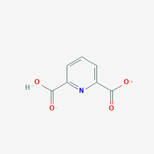 molecular formula C7H4NO4- B1256888 Dipicolinate(1-) 