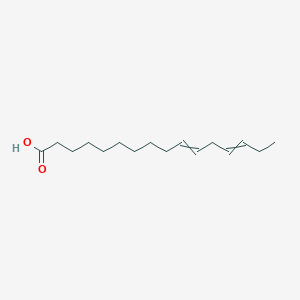 molecular formula C16H28O2 B12570815 Hexadeca-10,13-dienoic acid CAS No. 197576-42-4