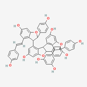 molecular formula C56H42O12 B1257176 5-[6-hydroxy-4-[6-hydroxy-4-[6-hydroxy-2-(4-hydroxyphenyl)-4-[(E)-2-(4-hydroxyphenyl)vinyl]-2,3-dihydrobenzofuran-3-yl]-2-(4-hydroxyphenyl)-2,3-dihydrobenzofuran-3-yl]-2-(4-hydroxyphenyl)-2,3-dihydrobenzofuran-3-yl]benzene-1,3-diol 