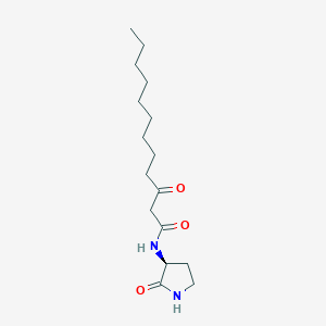 molecular formula C16H28N2O3 B1257238 3-Oxo-N-[(3S)-2-oxopyrrolidin-3-YL]dodecanamide 