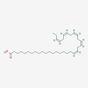 molecular formula C34H58O2 B1257276 19Z,22Z,25Z,28Z,31Z-tetratriacontapentaenoic acid 