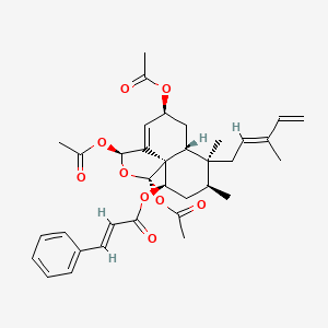 molecular formula C35H42O9 B1257298 Caseobliquin B 