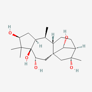 molecular formula C20H34O5 B1257443 (1S,3R,4R,6S,8S,9S,10S,13R,14R,16R)-5,5,9,14-tetramethyltetracyclo[11.2.1.01,10.04,8]hexadecane-3,4,6,14,16-pentol 