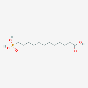 molecular formula C12H25O5P B12575018 12-phosphonododecanoic Acid CAS No. 295792-72-2