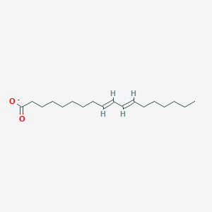 molecular formula C18H31O2- B1257598 Octadeca-9,11-dienoate 
