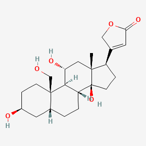 molecular formula C23H34O6 B1257607 19-HYdroxysarmentogenin 