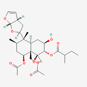 molecular formula C29H42O10 B1257638 Ajugapitin 