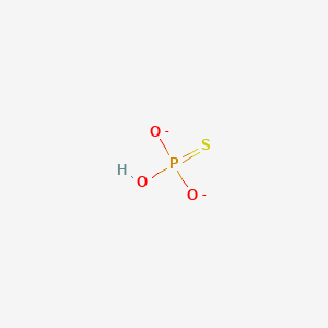 molecular formula HO3PS-2 B1257650 Phosphorothiolate 