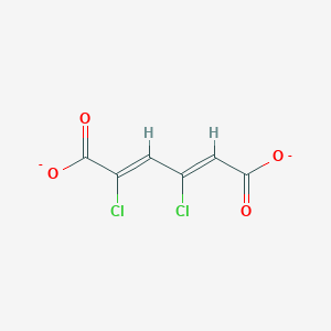 molecular formula C6H2Cl2O4-2 B1257683 2,4-Dichloromuconate 