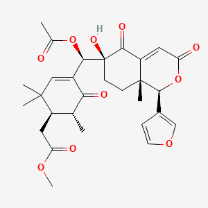molecular formula C29H34O10 B1257702 Xylogranatin D 