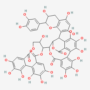 molecular formula C49H36O27 B1257706 Camelliatannin A CAS No. 138256-93-6