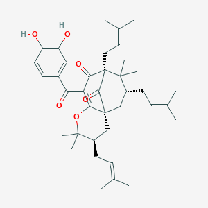 molecular formula C38H50O6 B1257861 (1R,3R,9S,11R)-7-(3,4-dihydroxybenzoyl)-4,4,10,10-tetramethyl-3,9,11-tris(3-methylbut-2-enyl)-5-oxatricyclo[7.3.1.01,6]tridec-6-ene-8,13-dione 
