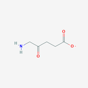 5-amino-4-oxopentanoate