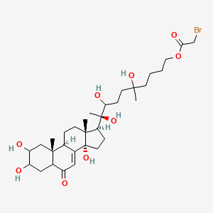 molecular formula C32H51BrO9 B1257930 [(9R)-5,8,9-trihydroxy-5-methyl-9-[(9R,10R,13R,14S,17S)-2,3,14-trihydroxy-10,13-dimethyl-6-oxo-2,3,4,5,9,11,12,15,16,17-decahydro-1H-cyclopenta[a]phenanthren-17-yl]decyl] 2-bromoacetate 