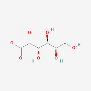 2-Dehydro-D-galactonate