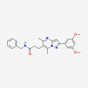 molecular formula C26H28N4O3 B1258051 N-benzyl-3-[2-(3,5-dimethoxyphenyl)-5,7-dimethylpyrazolo[1,5-a]pyrimidin-6-yl]propanamide 