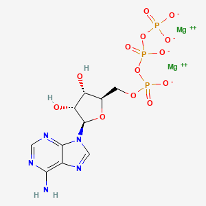 molecular formula C10H12Mg2N5O13P3 B1258106 ATP (dimagnesium) 