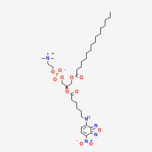 molecular formula C36H62N5O11P B1258141 C6-Nbd-PC 