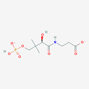 (R)-4'-phosphopantothenate(2-)