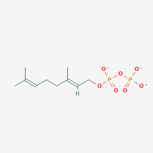molecular formula C10H17O7P2-3 B1258311 Geranyl diphosphate(3-) 