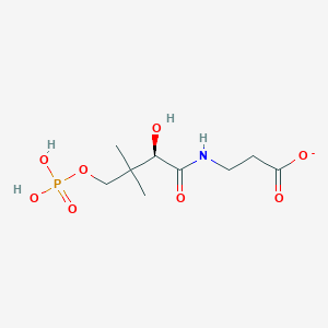 molecular formula C9H17NO8P- B1258431 (R)-4'-phosphopantothenate(1-) 