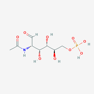 molecular formula C8H16NO9P B1258457 aldehydo-N-acetyl-D-mannosamine 6-phosphate 