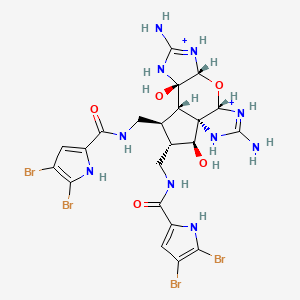 molecular formula C22H26Br4N10O5+2 B1258568 Massadine(2+) 