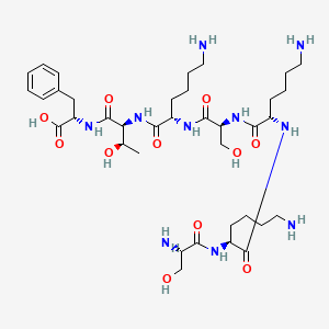molecular formula C37H64N10O11 B12585841 L-Seryl-L-lysyl-L-lysyl-L-seryl-L-lysyl-L-threonyl-L-phenylalanine CAS No. 644966-52-9