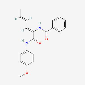 molecular formula C20H20N2O3 B12587648 N-[1-(4-methoxyanilino)-1-oxohexa-2,4-dien-2-yl]benzamide 