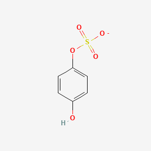 molecular formula C6H5O5S- B1258794 Hydroquinone sulfate 