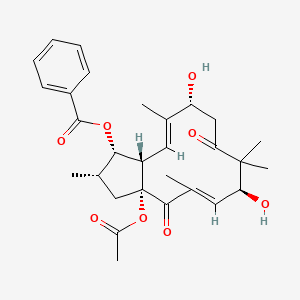 molecular formula C29H36O8 B1258819 [(1S,2S,3aR,5E,7S,11R,12E,13aS)-3a-acetyloxy-7,11-dihydroxy-2,5,8,8,12-pentamethyl-4,9-dioxo-2,3,7,10,11,13a-hexahydro-1H-cyclopenta[12]annulen-1-yl] benzoate 