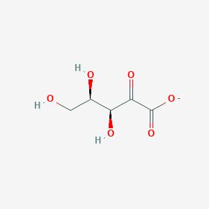 2-Dehydro-D-xylonate