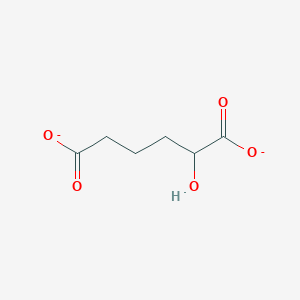 2-Hydroxyadipate(2-)