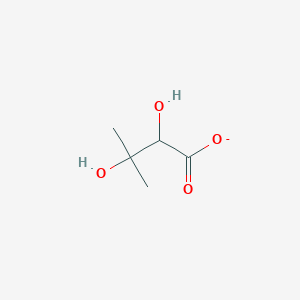 2,3-Dihydroxy-3-methylbutanoate