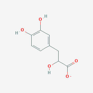 molecular formula C9H9O5- B1258962 3-(3,4-Dihydroxyphenyl)lactate 