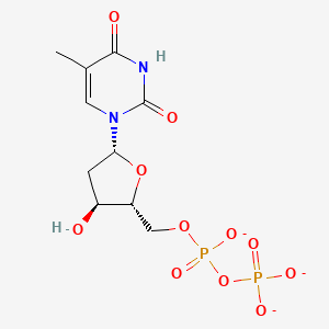 molecular formula C10H13N2O11P2-3 B1259028 Thymidine-diphosphate 