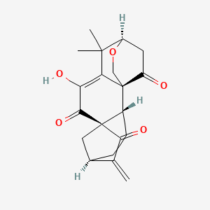 molecular formula C20H22O5 B1259060 maoecrystal P 