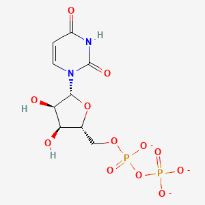 molecular formula C9H11N2O12P2-3 B1259127 Uridine-diphosphate 