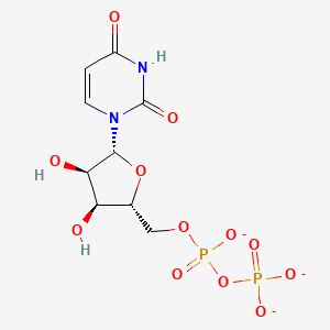 Uridine-diphosphate