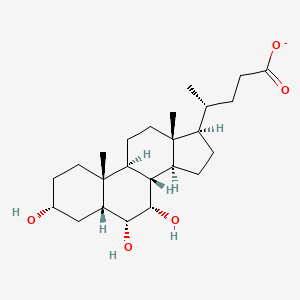 molecular formula C24H39O5- B1259251 Hyocholate 