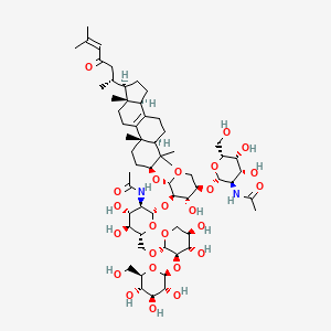 molecular formula C61H98N2O25 B1259297 Sarasinoside B1 