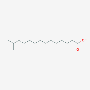 molecular formula C15H29O2- B1259418 13-Methyltetradecanoate 