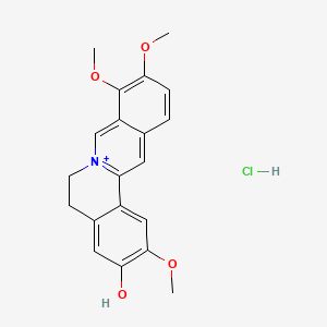 molecular formula C20H21ClNO4+ B1259419 Jatrorrhizine hydrochloride CAS No. 960383-96-4