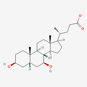 molecular formula C24H39O4- B1259499 Isoursodeoxycholate 