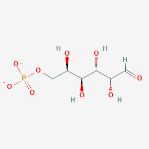 molecular formula C6H11O9P-2 B1259502 aldehydo-D-galactose 6-phosphate 