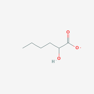 molecular formula C6H11O3- B1259514 2-Hydroxycaproate 