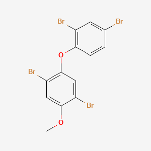 molecular formula C13H8Br4O2 B12595633 Benzene, 1,4-dibromo-2-(2,4-dibromophenoxy)-5-methoxy- CAS No. 602326-26-1